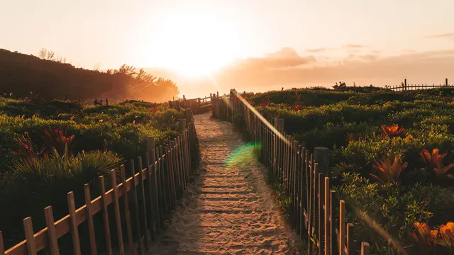 Caminho de praia entre a vegetação em Garopaba, ao pôr do sol