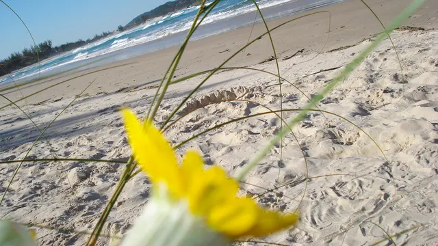 Praia da Barra, em Garopaba, onde a lagoa encontra o mar